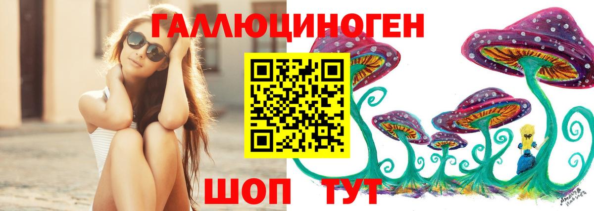 Псилоцибиновые грибы MAGIC MUSHROOMS  Вход с VPN  Галлюциногенные грибы Psilocybine cubensis  Волжск 